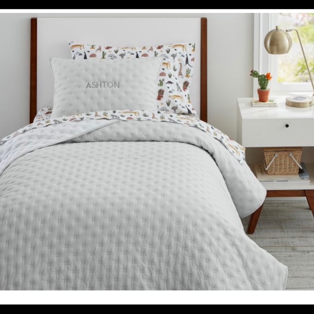 Pottery Barn Kids quilt & 2 shams